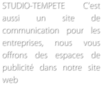 STUDIO-TEMPETE Cest aussi un site de communication pour les entreprises, nous vous offrons des espaces de publicit dans notre site web