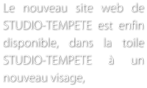 Le nouveau site web de STUDIO-TEMPETE est enfin disponible, dans la toile STUDIO-TEMPETE  un nouveau visage,