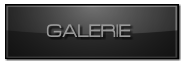 GALERIE